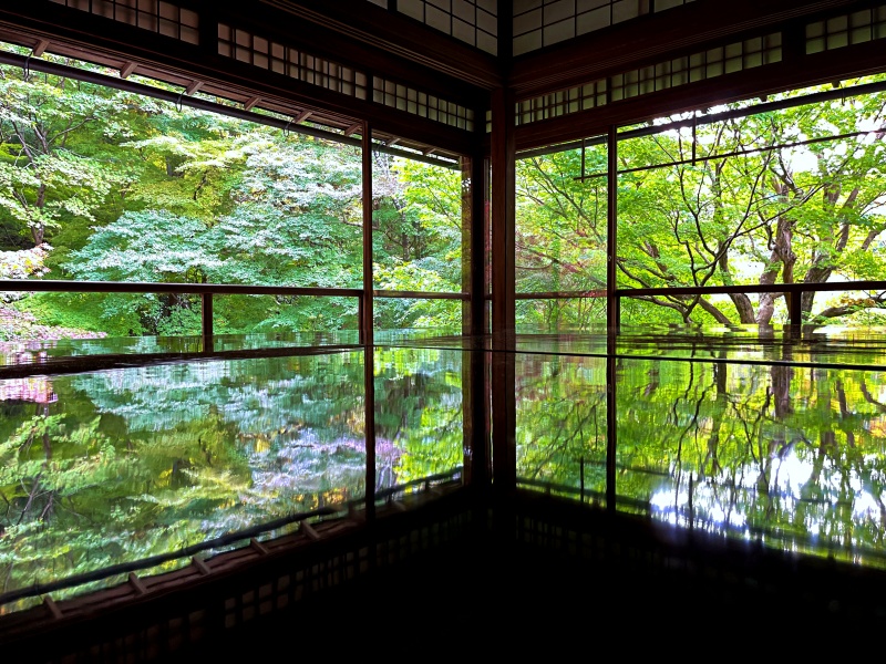 京都の紅葉（瑠璃光院）