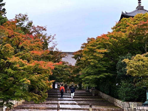 Famous autumn leaves spot in Kyoto!!