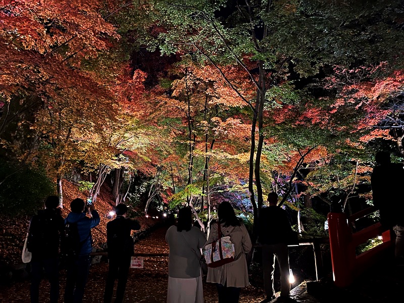 Walking Around Kyoto (Autumn colors@Kitano Tenmangu)