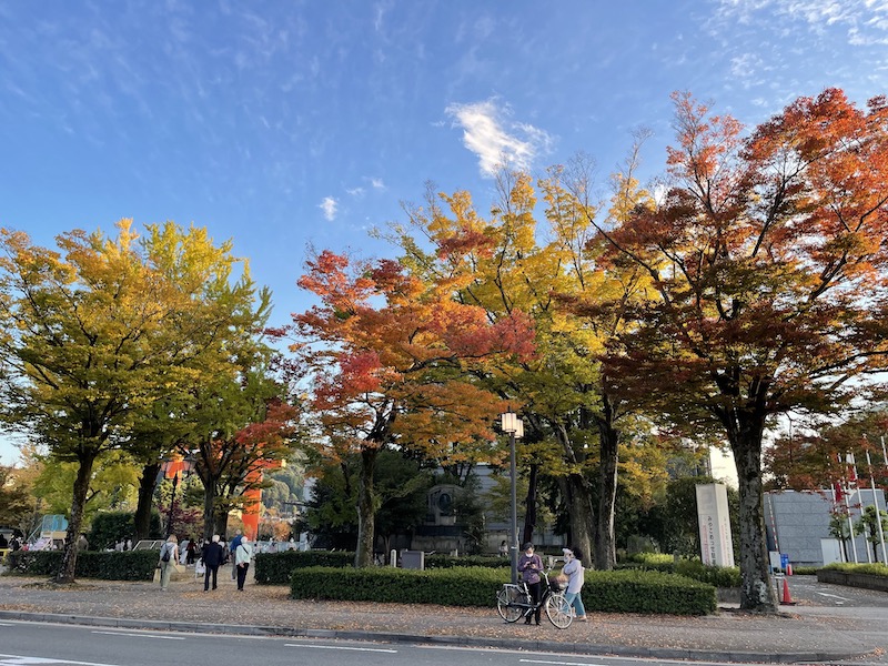 Walking around Kyoto (Autumn leaves@Okazaki area)