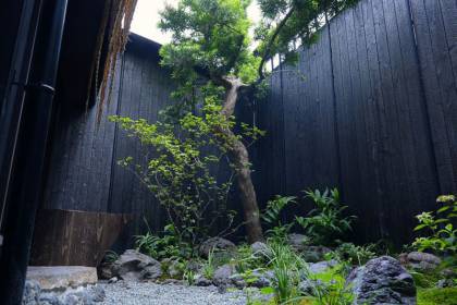 中庭