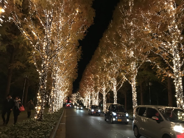 京都のイルミネーション