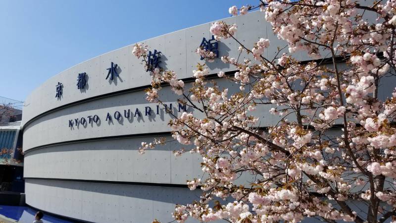 京都水族館