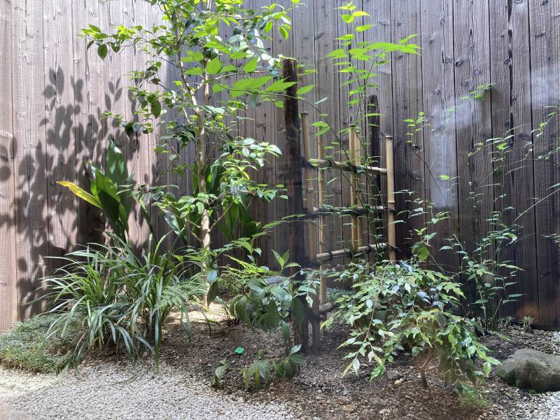 【京都市一軒貸切｜町屋ホテル】染　SEN　大宮五条　はノ彩の庭を剪定しました。