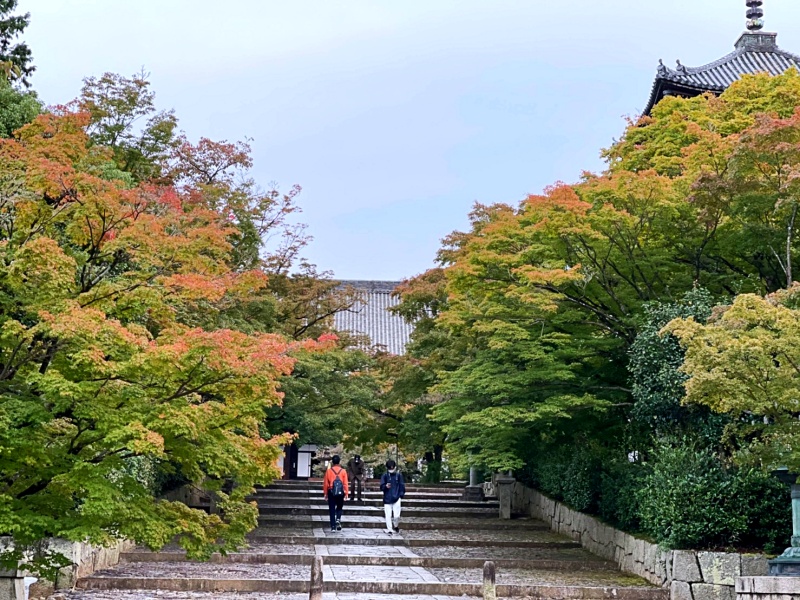 京都の紅葉（真如堂・金戒光明寺）