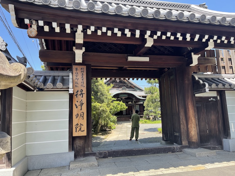 京都歩き（得浄明院のアヤメ）