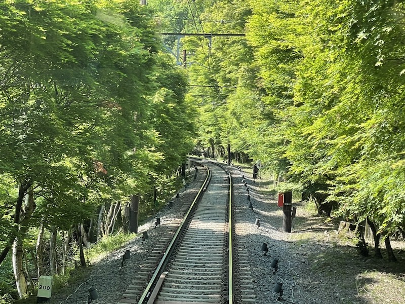 京都歩き（叡山電車青もみじのトンネル）