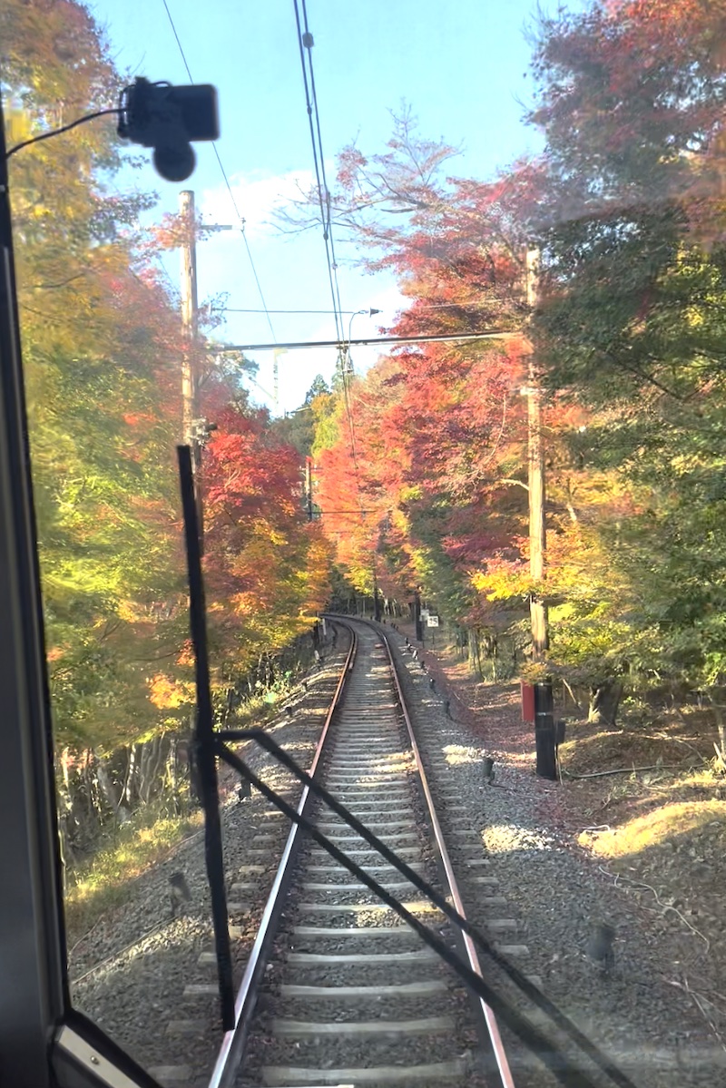 京都歩き（紅葉のトンネル）