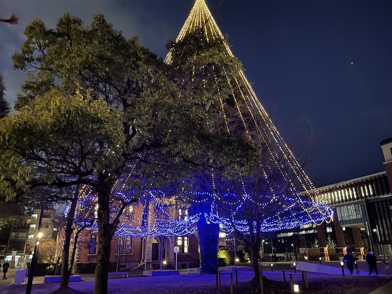 京都歩き（同志社大学のクリスマスツリー）