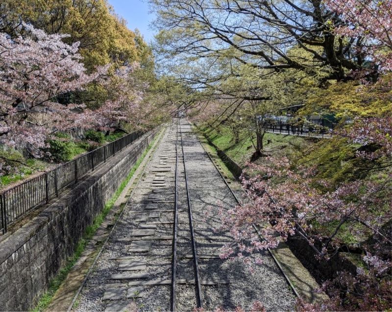 いよいよ桜の季節