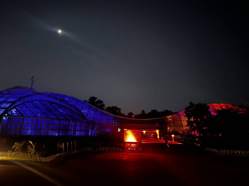 京都の幻想空間「Light Cycles」