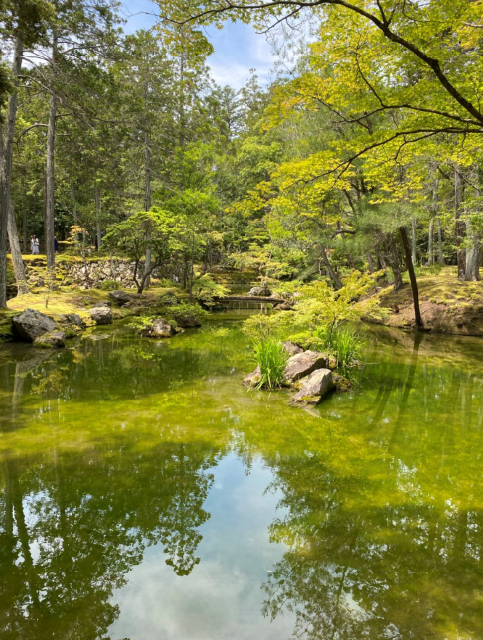 西芳寺は、今年開山1300年を迎えた。