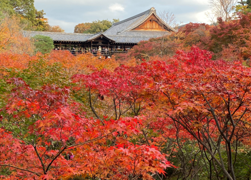 東福寺の臥雲橋から通天橋を臨む