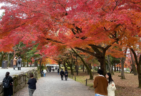 南禅寺境内山門の東北側