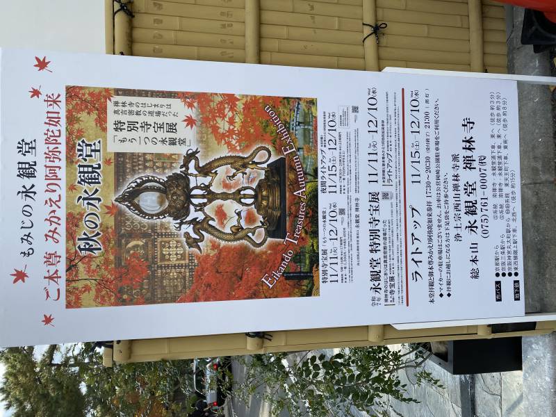 ライトアップも綺麗！永観堂禅林寺の紅葉