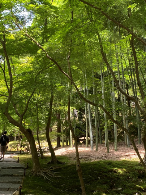 「調律と閃(ひらめ)きの庭」。写経の後に、庭を周るうちに、心を静めて自分自身を向き合うことができるという。