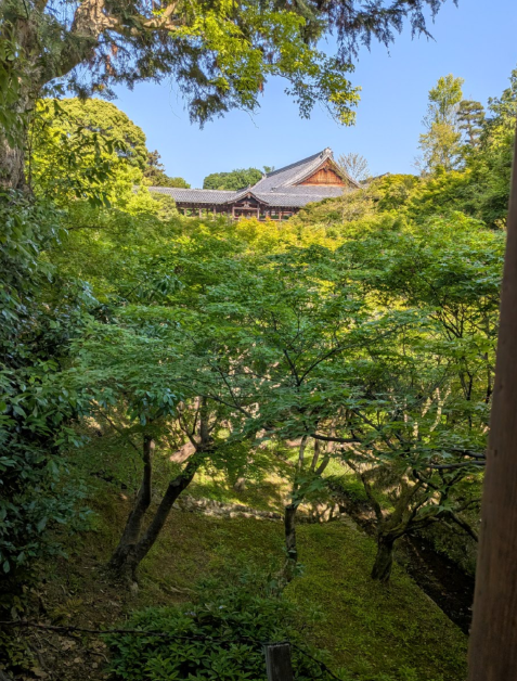 東福寺 お寺のご住職は、紅葉よりも青もみじの時期がいいといいます。
