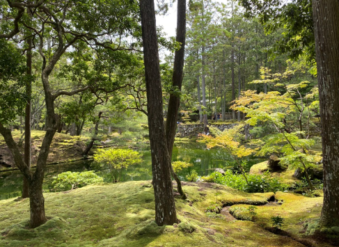 聖徳太子の別荘に始まり、室町に誕生した日本初となる枯山水の庭園でした。 今では、120余種の苔が育つ「苔寺」と呼ばれている。