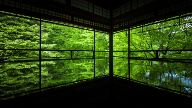 瑠璃光院 京都・八瀬にあり、多くの楓(かえで)と苔(こけ)に覆(おお)われた庭が有名。