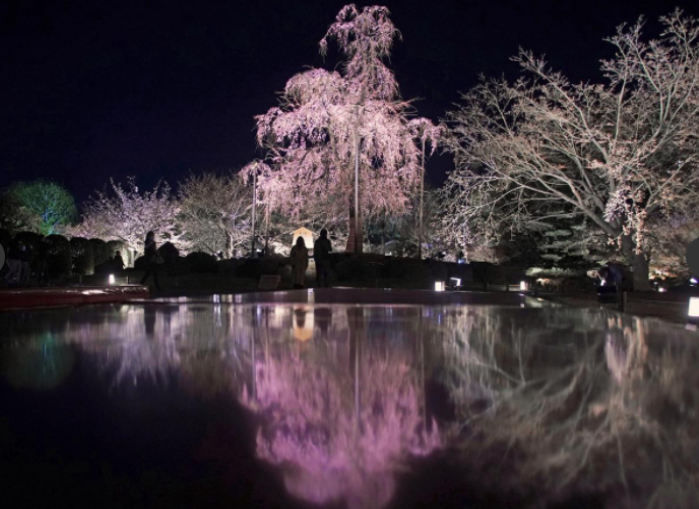 Toji Temple 