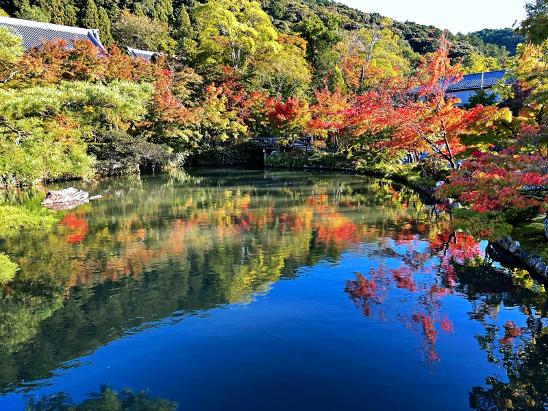 Autumn leaves in Kyoto (Eikando Temple)