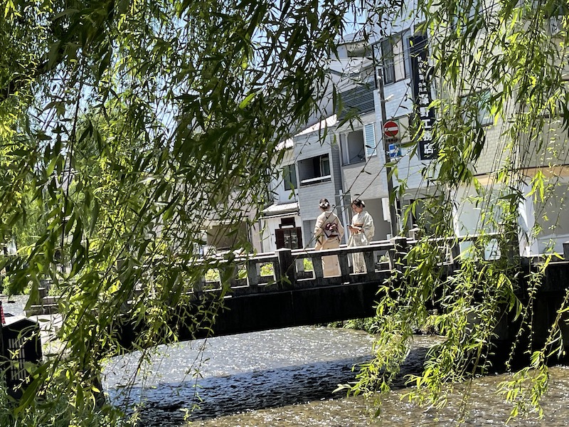 Walking around Kyoto（Shinryoku no Sanjō Shirakawa）