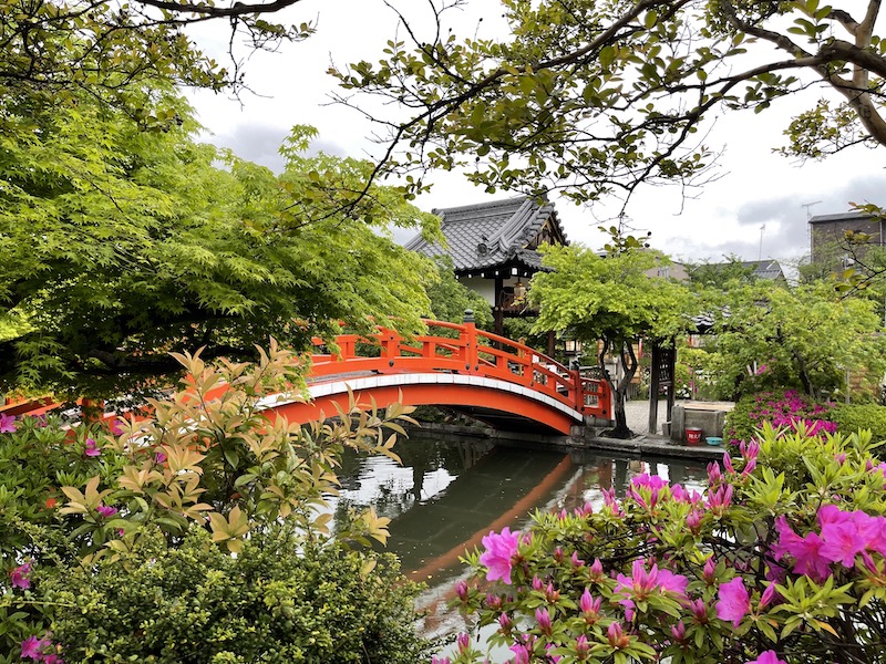 Walking Around Kyoto (Shinsen'en)