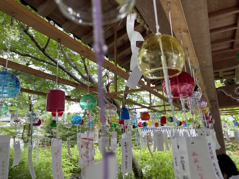 Walking Around Kyoto (Matsuo Taisha Shrine)