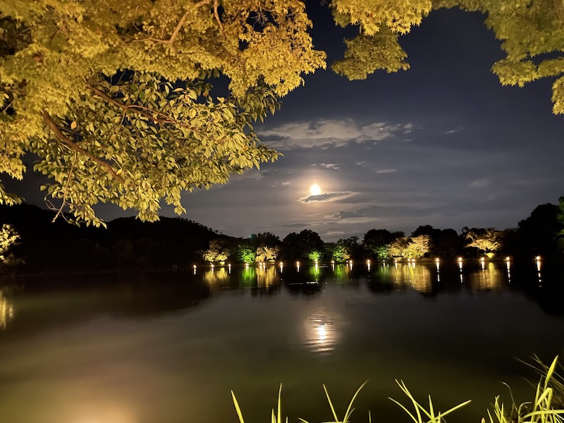 Walking around Kyoto (Evening Moon-View @ Daikakuji Temple )