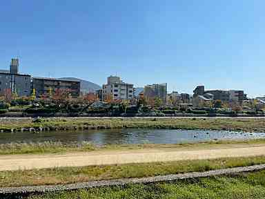 SGR Kamogawa News