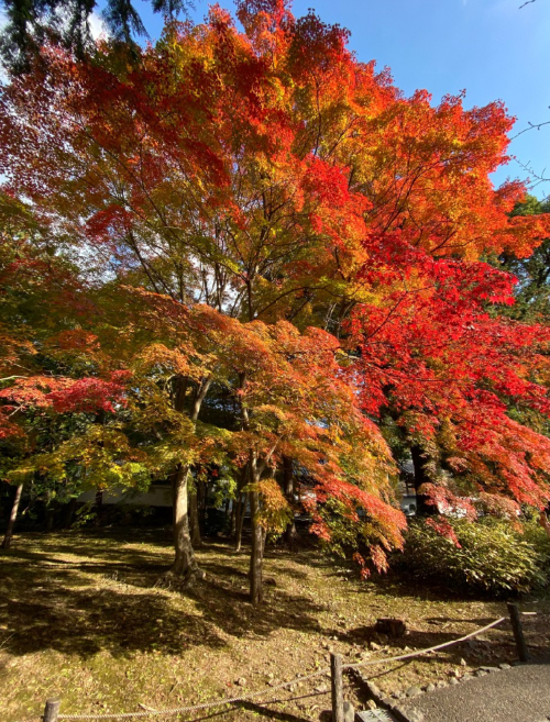 North side of Nanzenji Temple grounds