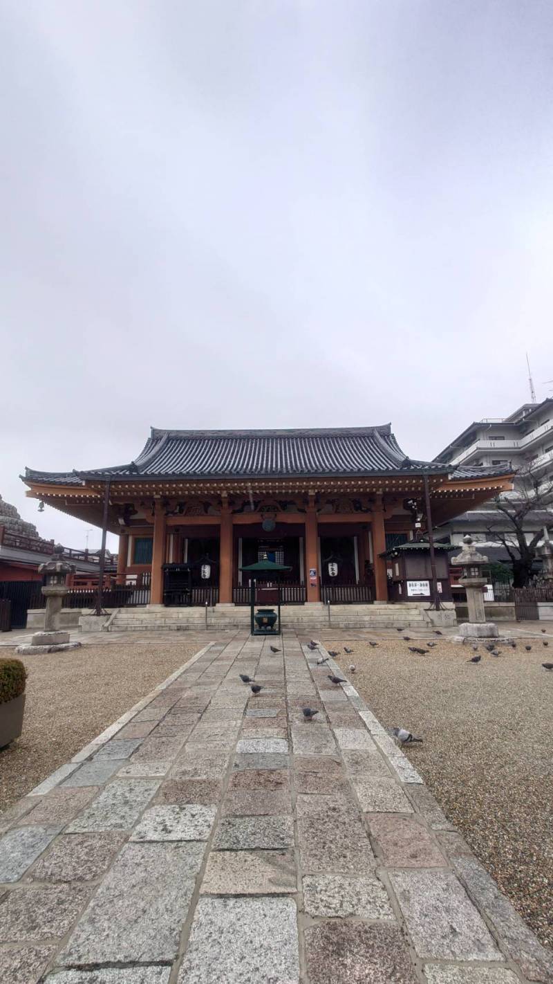 Enjoy a quiet time in Kyoto at the end of the year