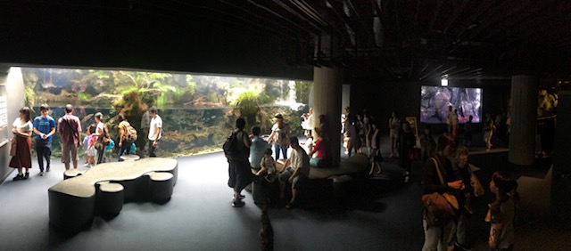 1F Atmosphere of Kyoto Aquarium