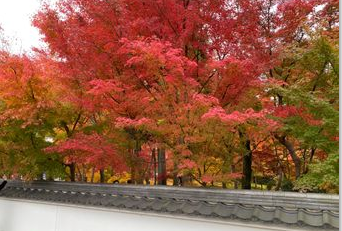Eikando Temple grounds