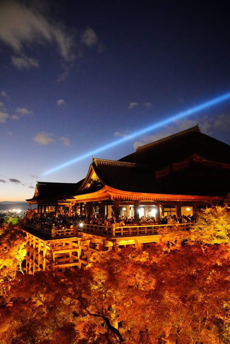 Kiyomizu-dera Temple is even more beautiful when viewed at night