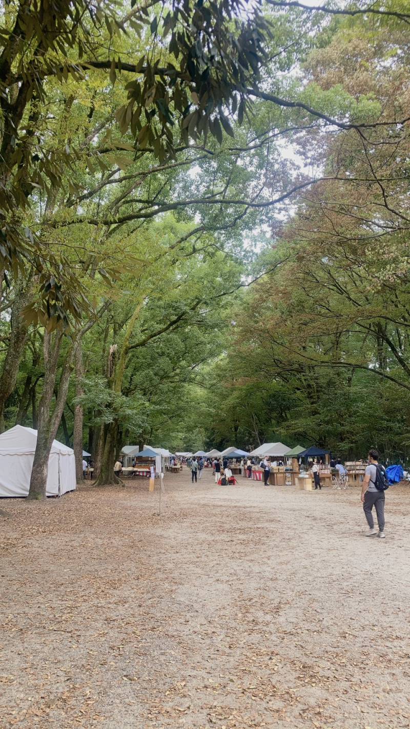 Оперативные палатки, выстроенные в лесу Тадасу