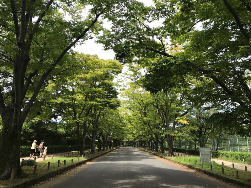 植物園走一回