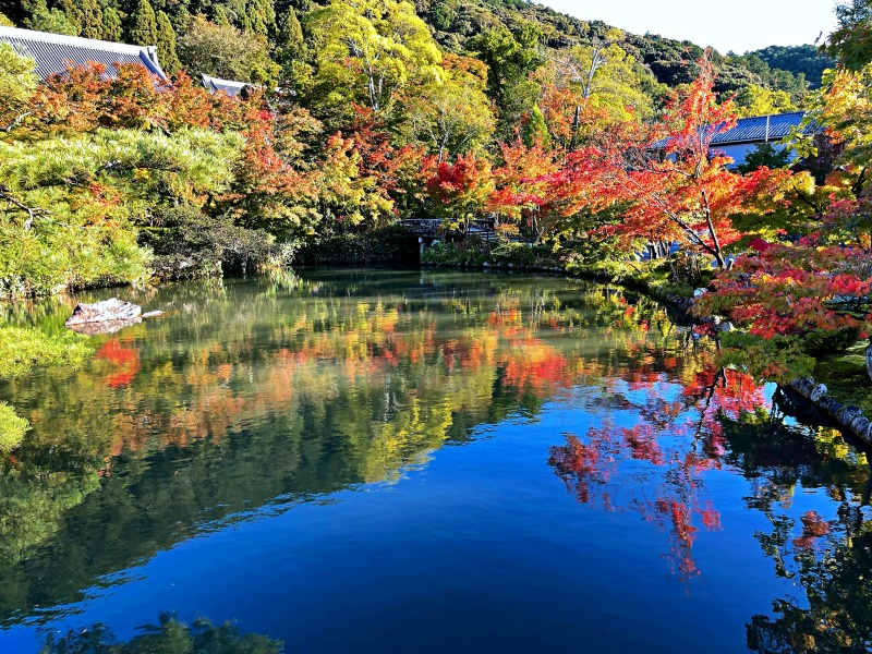 京都賞楓（永観堂）