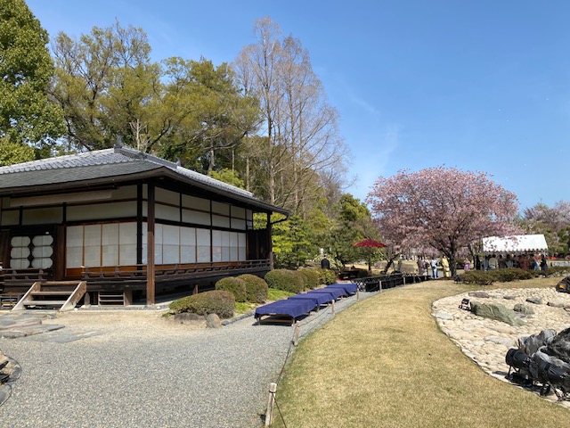 由表千家家元的弟弟所屬的社中「大中會」所準備的席位，在「香雲亭」的立禮席上，您可以享用茶道。