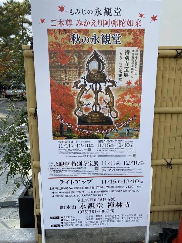 燈火映照下,永觀堂禪林寺的紅葉更加迷人